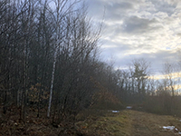 land